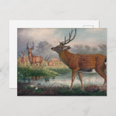 ジョセフ・ウルフのマントチュリアの鹿 ポストカード (正面/裏面)