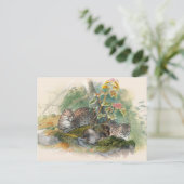 ジョセフ・ウルフのワガティ・キャット ポストカード (スタンド正面)