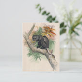 ジョセフ・ウルフの冥王星 ポストカード (スタンド正面)