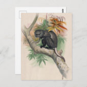 ジョセフ・ウルフの冥王星 ポストカード (正面/裏面)