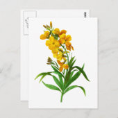 ジョセフ・ルドゥテPierre Joseph Redouteによるジロフス・ジャウネ ポストカード (正面/裏面)