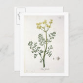 ジョセフ・ロケスの「フィトグレーヒ・メディケール」からルー ポストカード (正面/裏面)