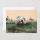 ジョゼフ・素晴らしウルフのバスタード ポストカード (正面/裏面)