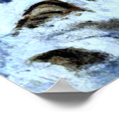 ジョタム島(現在のキツネ)、インディアンポイント外 ポスター (角)