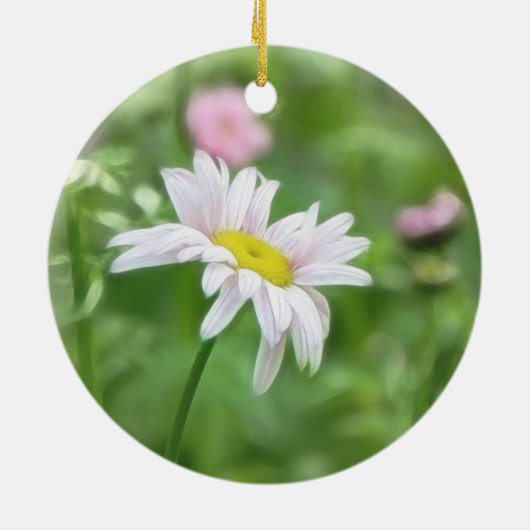 ジョチュウギクのデイジー- Tanacetumのcoccineum セラミックオーナメント (裏面)