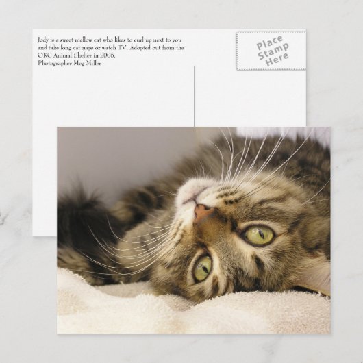 ジョディ ポストカード (正面/裏面)