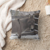 「ジョナサン」 クッション (ブランケット)