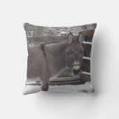 「ジョナサン」 クッション (裏面)