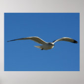 ジョナサン ポスター (正面)