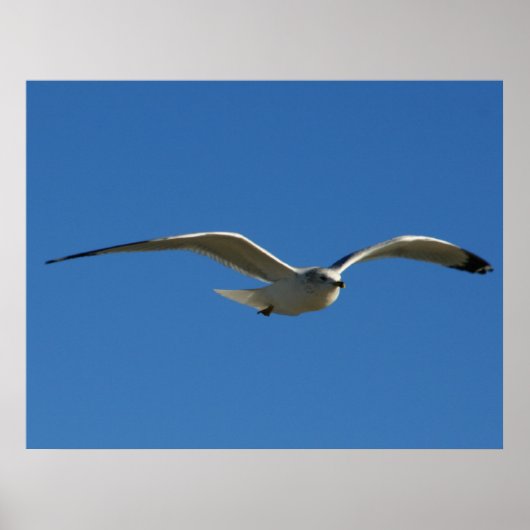 ジョナサン ポスター (正面)