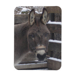 「ジョナサン」 マグネット