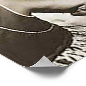 ジョナス・エス・サルク、M.D. ポスター (角)