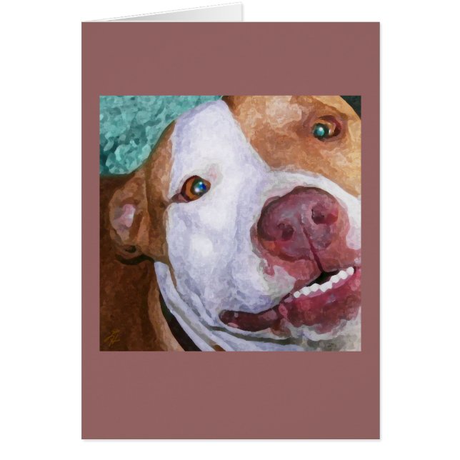 ジョニーの小さい輝き (正面)