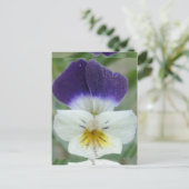 ジョニーの跳び上げ花写真 ポストカード (スタンド正面)