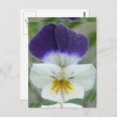 ジョニーの跳び上げ花写真 ポストカード (正面/裏面)