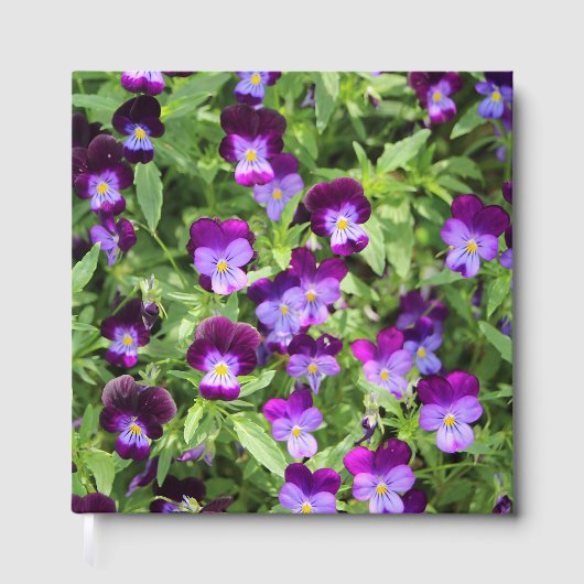 ジョニー・アポップ・アートのップ ゲストブック (正面)