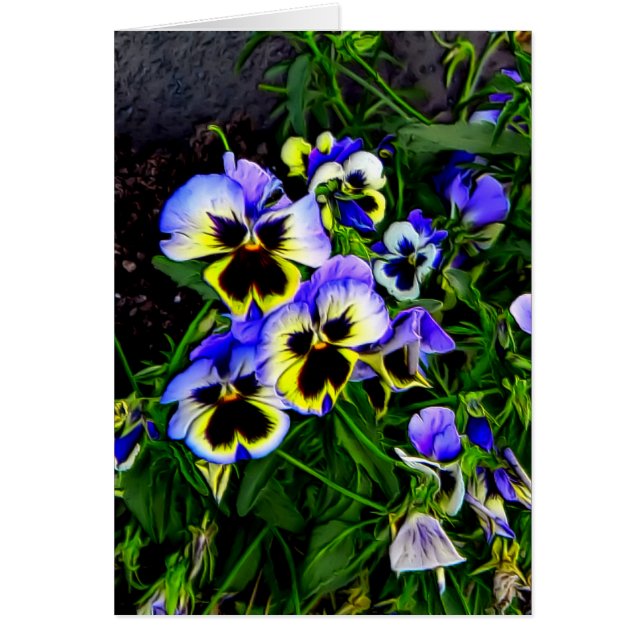 ジョニー・ジャンプ・アップ (正面)