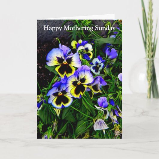 ジョニー・ジャンプ・アップ カード (正面)