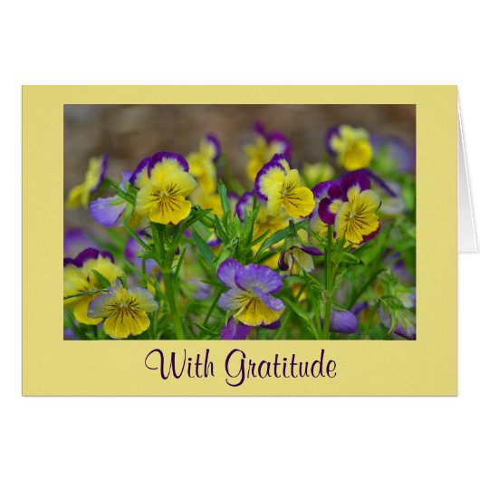 ジョニー・ジャンプ・アップ・サンキューカード (正面横)