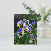 ジョニー・ジャンプ・アップ ポストカード (スタンド正面)