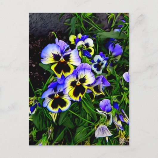 ジョニー・ジャンプ・アップ ポストカード (正面)