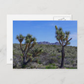 ジョニー… ポストカード (正面/裏面)