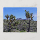 ジョニー… ポストカード (正面)