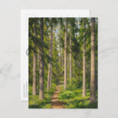 ジョハンクルテンソルベリーストCC0461ポストカード ポストカード (正面/裏面)