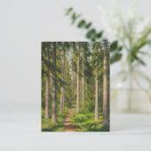 ジョハンクルテンソルベリーストCC0461ポストカード ポストカード (スタンド正面)