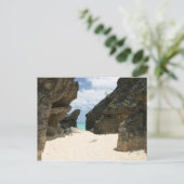 ジョブソンズコーブバミューダ ポストカード (スタンド正面)