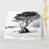 ジョブ14:7大きな折り畳みグリーティングカード カード (黄色い花)