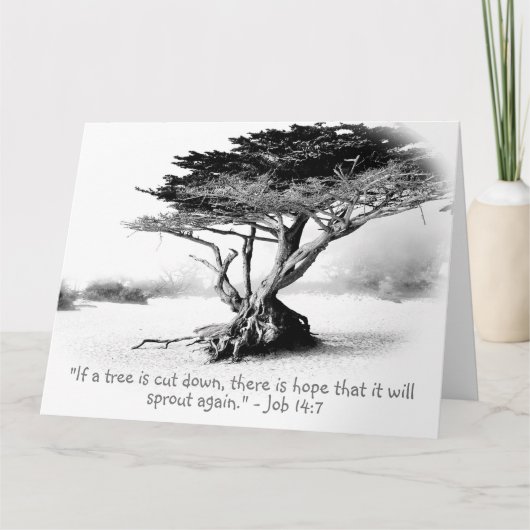 ジョブ14:7大きな折り畳みグリーティングカード カード (正面)