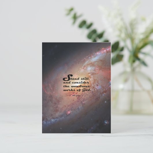 ジョブ37:14 ポストカード (スタンド正面)