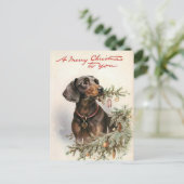 ジョユーノエルシエンテッケル ポストカード (スタンド正面)