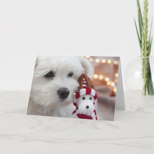 ジョユーノエル！ シーズンカード (正面)