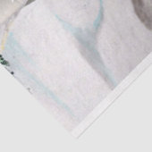 ジョユーノエル 薄葉紙 (詳細)