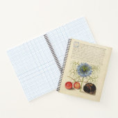 ジョリス・ホーフナジェルLove-in-a-Mistと栗1561 ノートブック (内部)