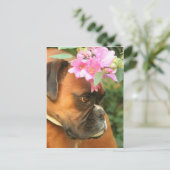 ジョリー・フラワーガール ポストカード (スタンド正面)