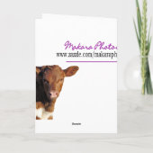 ジョリー-思いやり-その他-オーダーメイド カード (裏面)