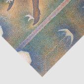 ジョルジュスウラットルチャッハット 薄葉紙 (詳細)