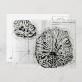 ジョルジュ島またはオテーテ島の王の計画， 1769 ポストカード (正面/裏面)