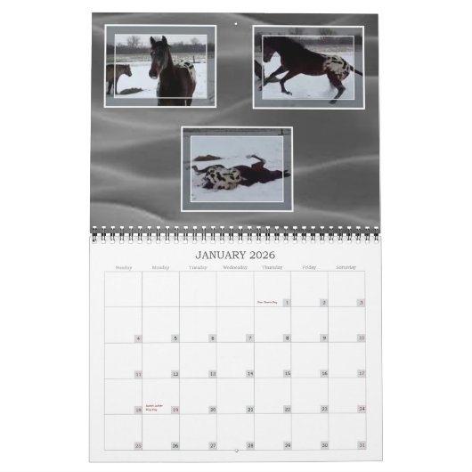 ジョンおよびMARIEクレイグ家族のAPPALOOSAS カレンダー (1月 2026)