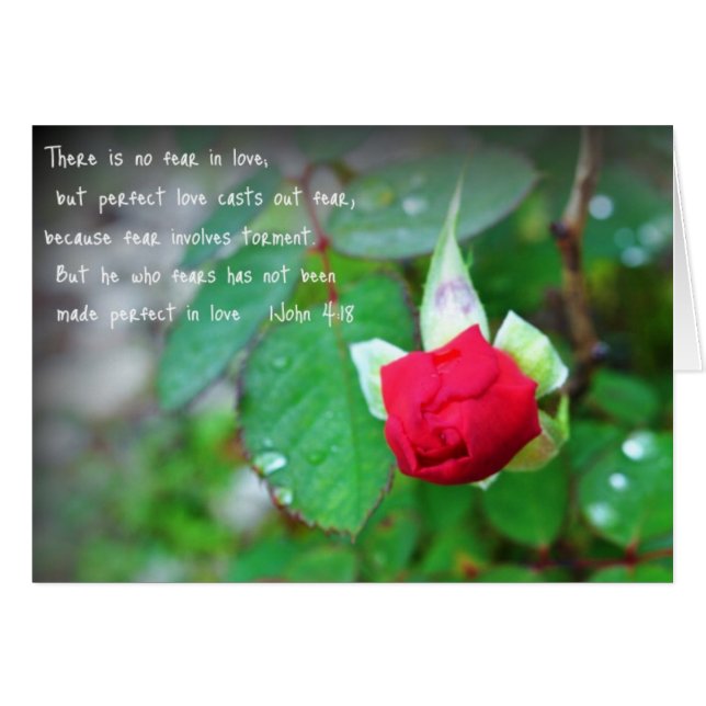 ジョンの4:18 (正面横)