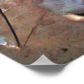 ジョンウィリアムウォーターハウスザ魔法サークル ポスター (角)