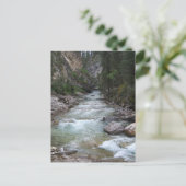 ジョンストンキャニオンステップ秋 ポストカード (スタンド正面)