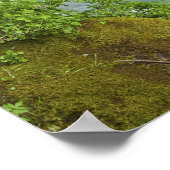 ジョンストンキャニオン ポスター (角)