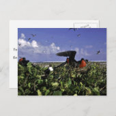 ジョンストン島国立野生動物保護区 ポストカード (正面/裏面)