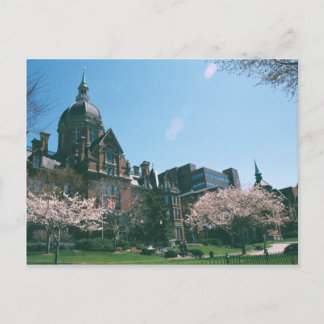 ジョンズホプキンス病院 ポストカード