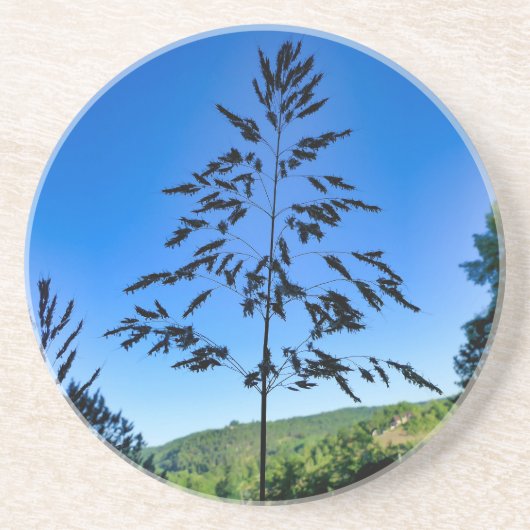 ジョンソングラス コースター (正面)