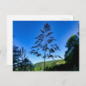 ジョンソングラス ポストカード (正面/裏面)